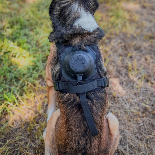 Set Tali Abah Anjing dan Tali Boleh Tarik - All-In-One