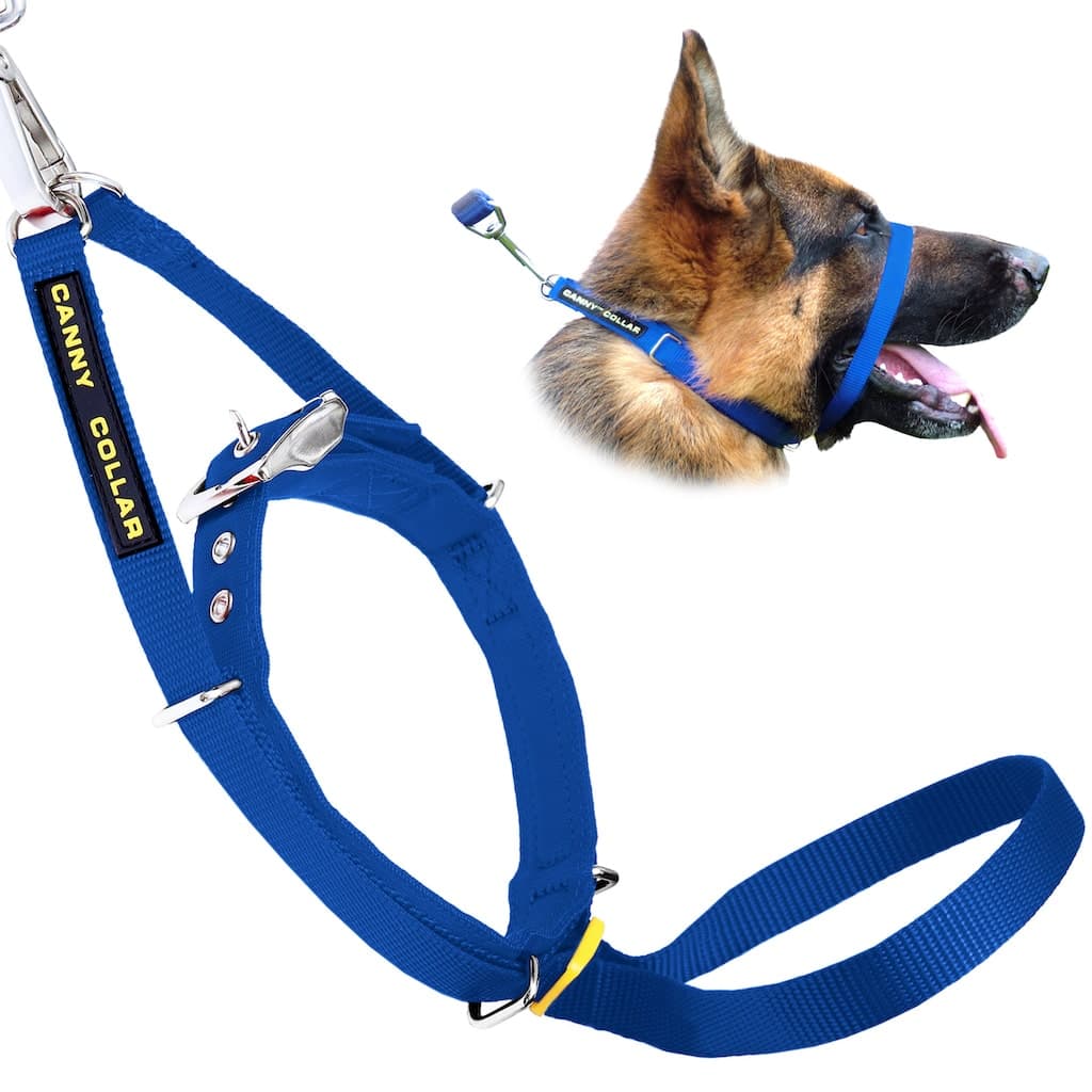 Canny Collar - For serious pullers