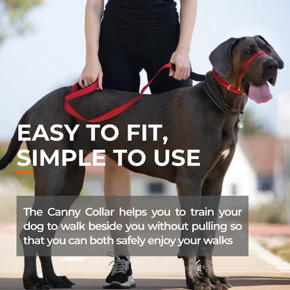 Canny Collar - For serious pullers