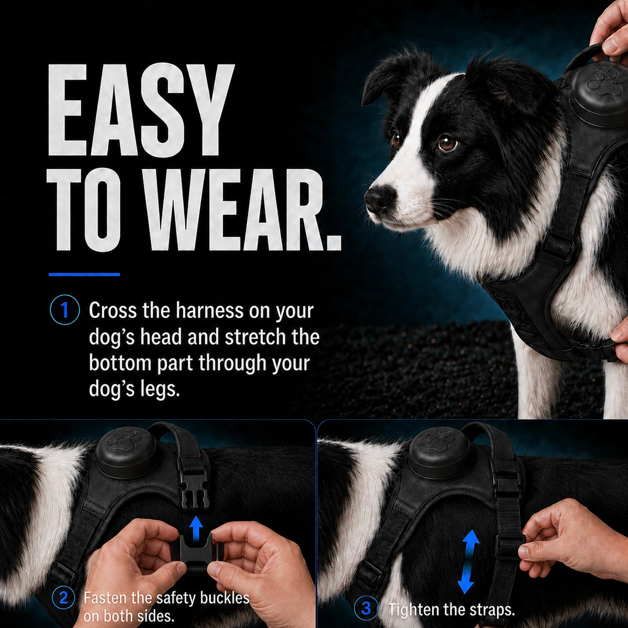 Set Tali Abah Anjing dan Tali Boleh Tarik - All-In-One