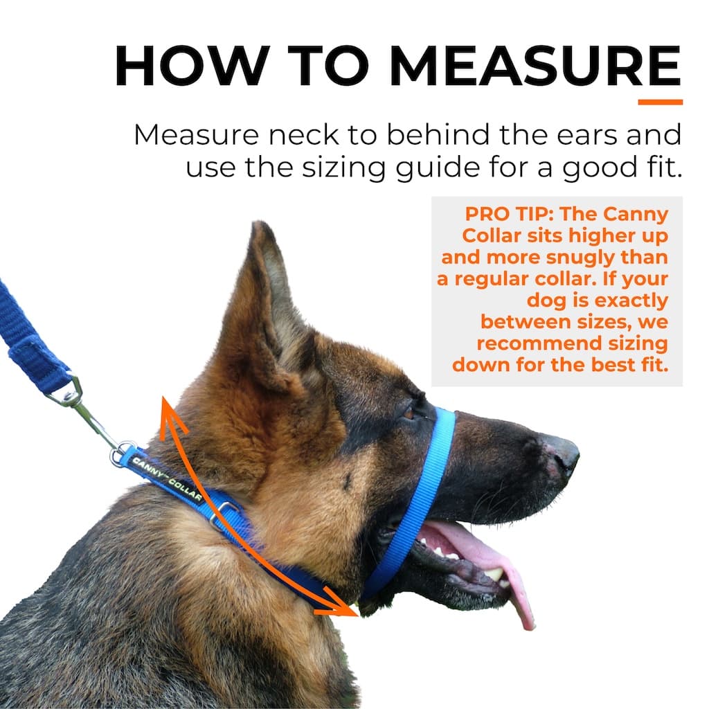 Canny Collar - For serious pullers