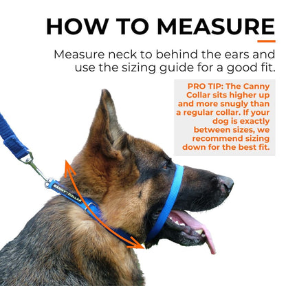 Canny Collar - For serious pullers