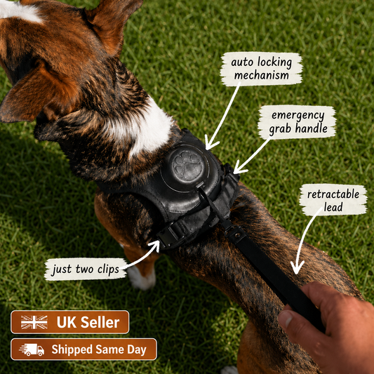Click & Go™ Harness - Auto-Locking Built-in Lead