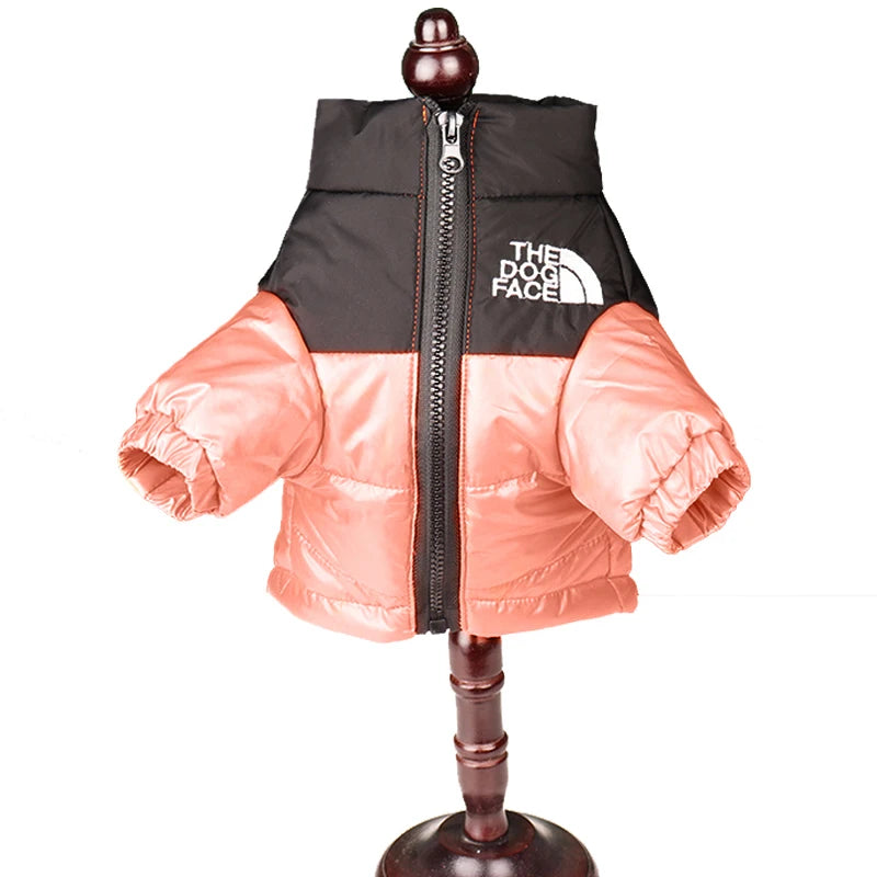 The "Dog" Face - Winter Coat