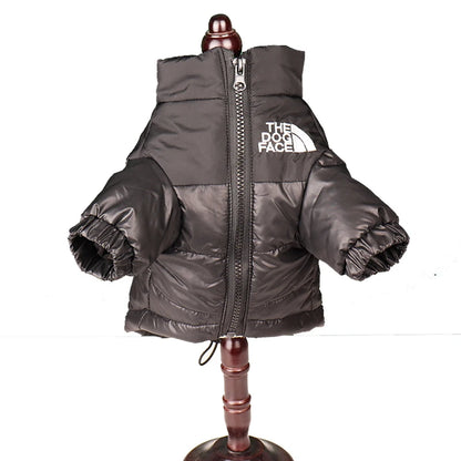 The "Dog" Face - Winter Coat