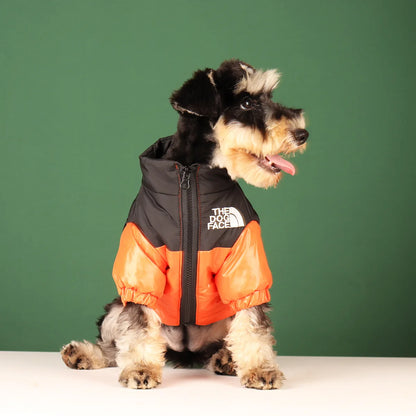 The "Dog" Face - Winter Coat