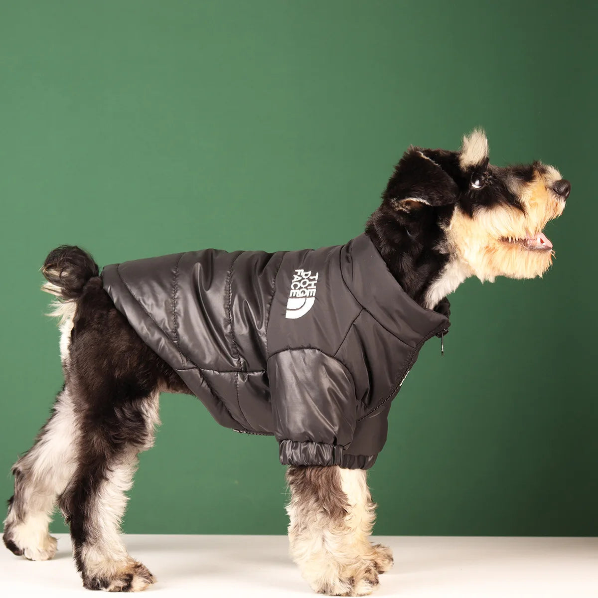 The "Dog" Face - Winter Coat