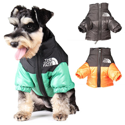 The "Dog" Face - Winter Coat