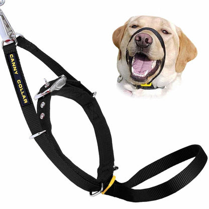 Canny Collar - For serious pullers