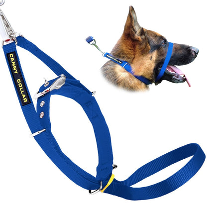 Canny Collar - For serious pullers