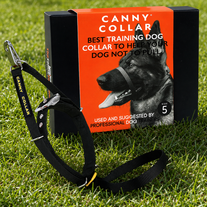 Canny Collar - For serious pullers
