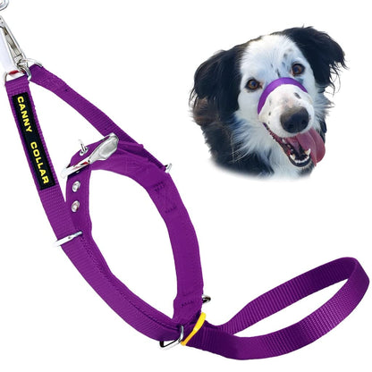 Canny Collar - For serious pullers