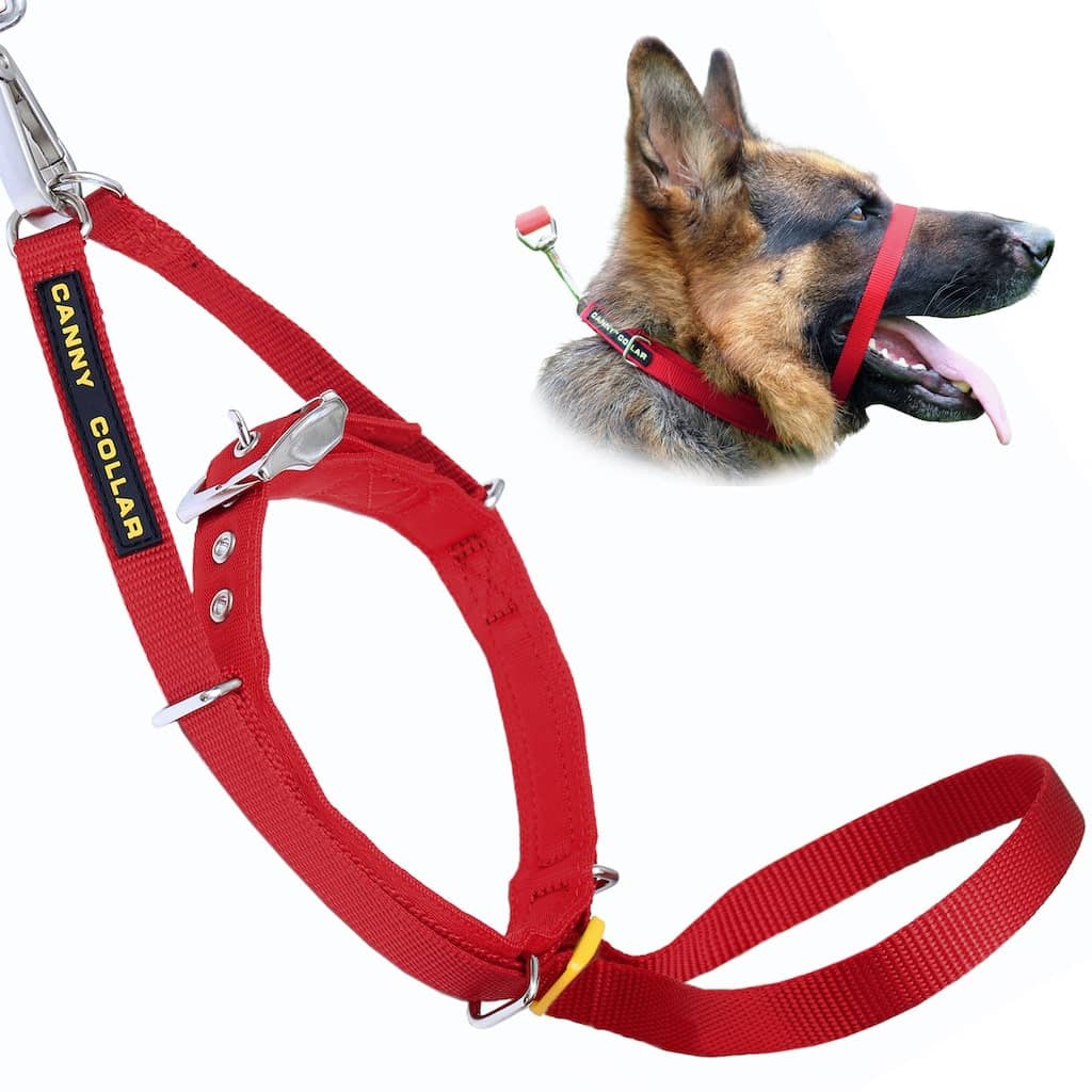 Canny Collar - For serious pullers
