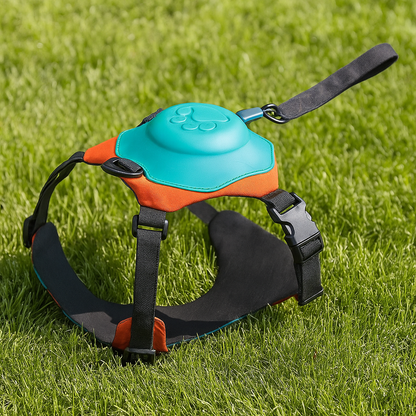 Dog Harness and Retractable Leash Set - All-In-One