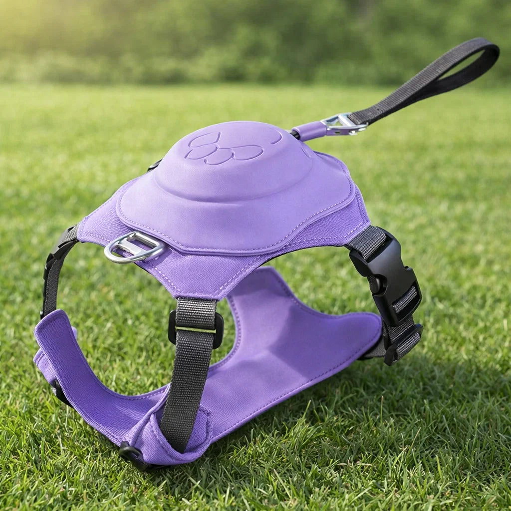 Purple Click & Go harness - with Built in lead