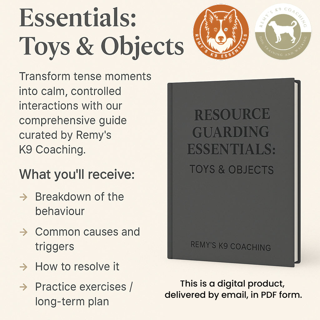 Resource Guarding Guide (Toys & Objects) - Remy's K9 Coaching